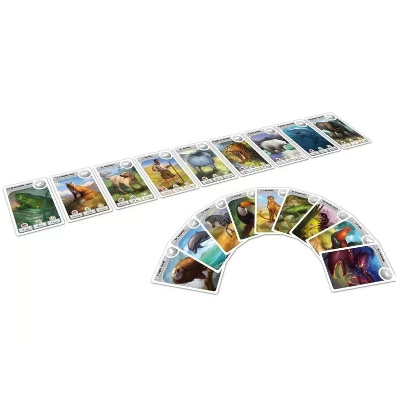 Cardline Animaux