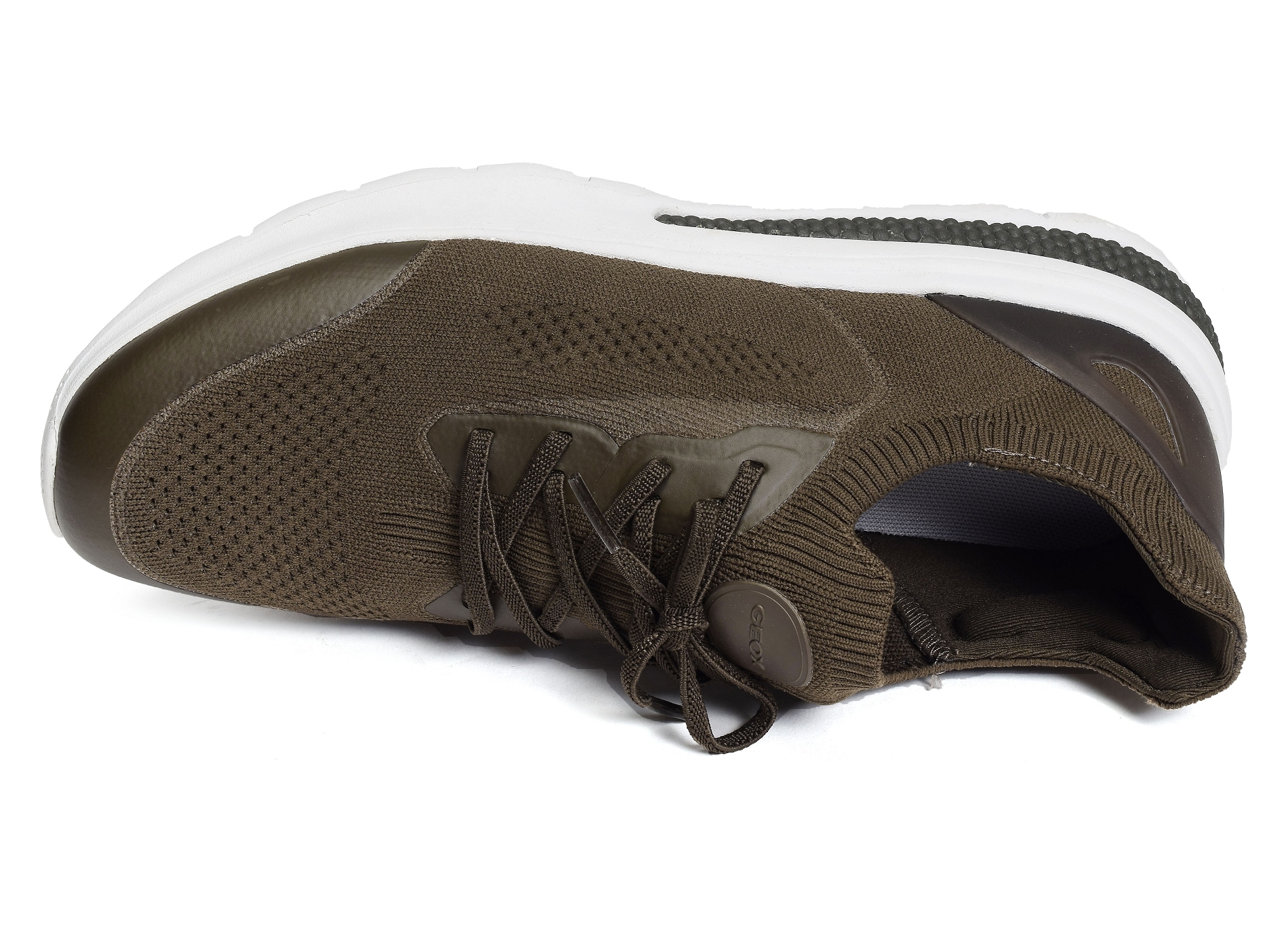U spherica actif a kaki