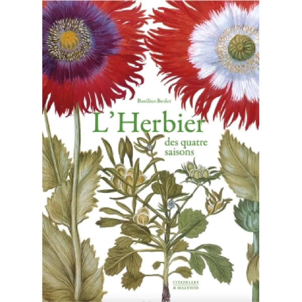 L'herbier des quatre saisons ou Le jardin d'Eichstätt