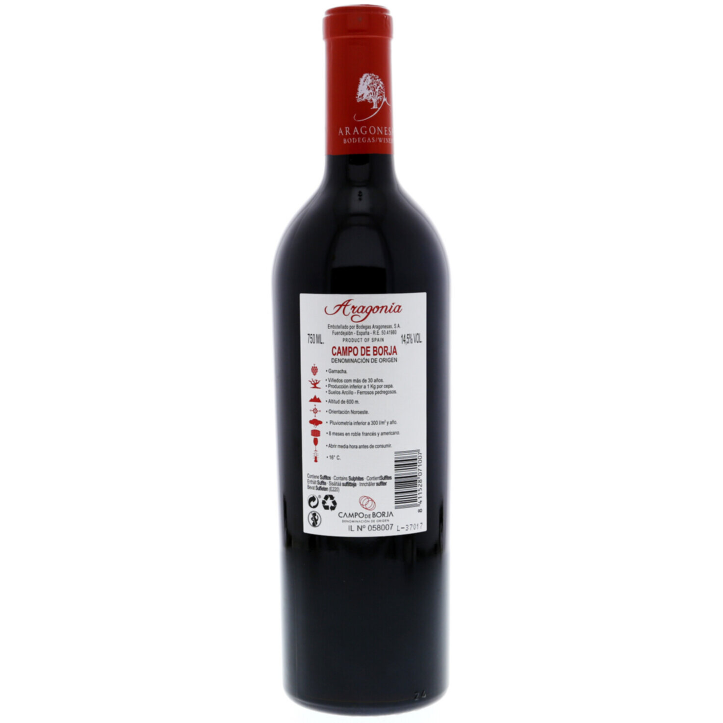 Campo de Borja DO Aragonia Selección Especial -75cl