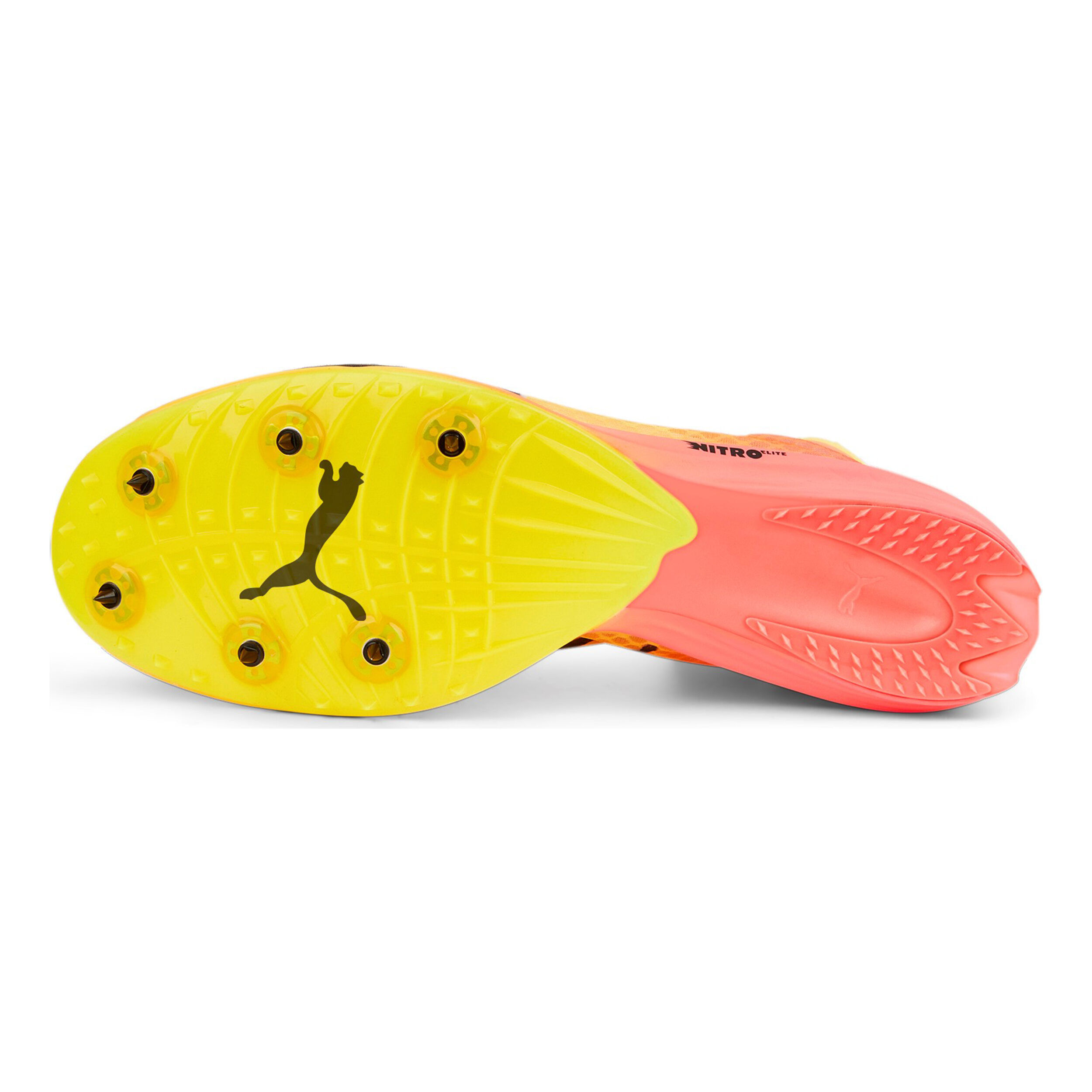 Puma EvoSPEED Distance Nitro Elite+ 2 Spikes - Jaune , Orange