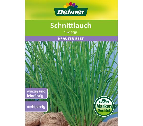 Dehner Samen Schnittlauch 'Twiggy'