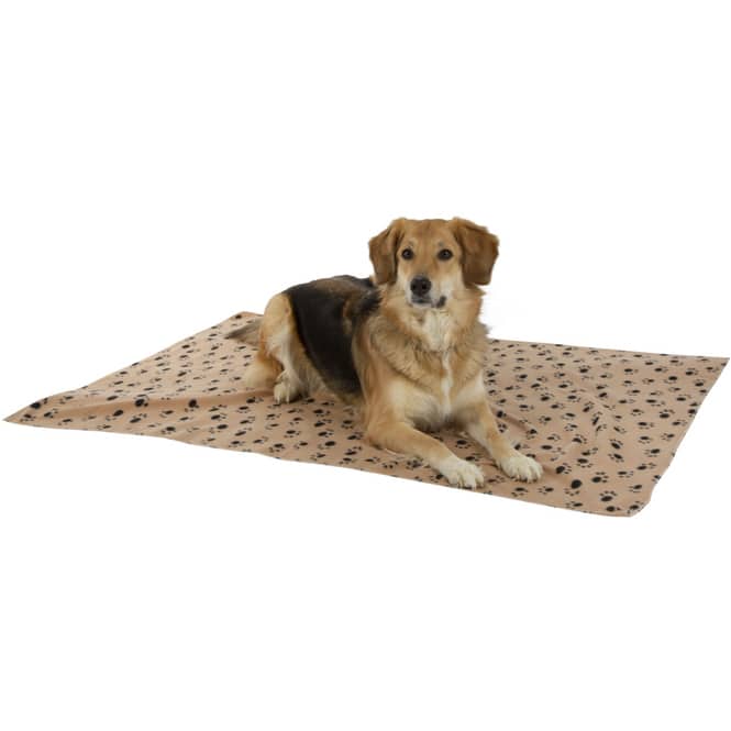 Hundezubehör - Hundedecke - beige - 140 x 100 cm