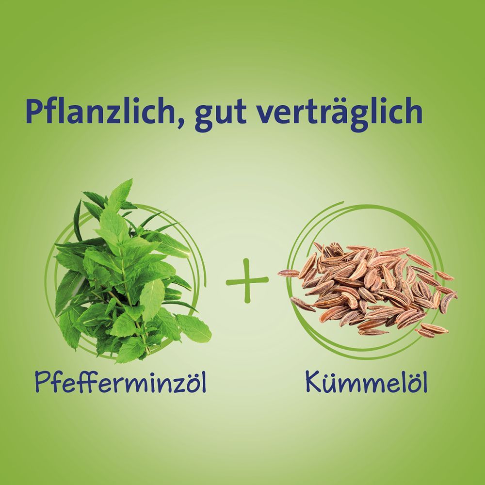 Carmenthin® bei Verdauungsstörungen