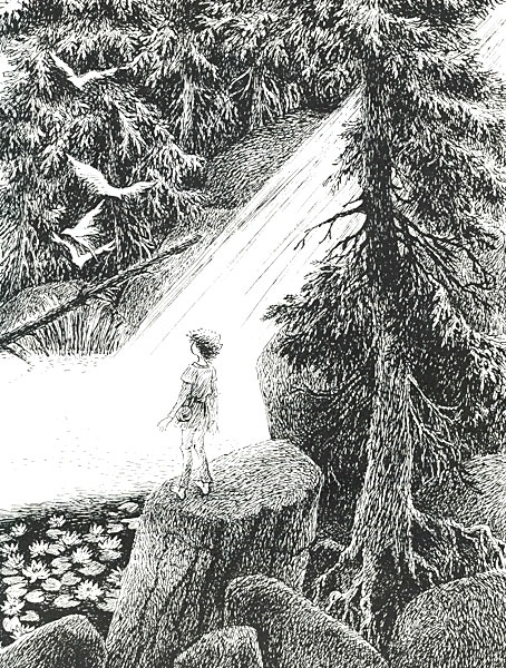 Ronja Räubertochter