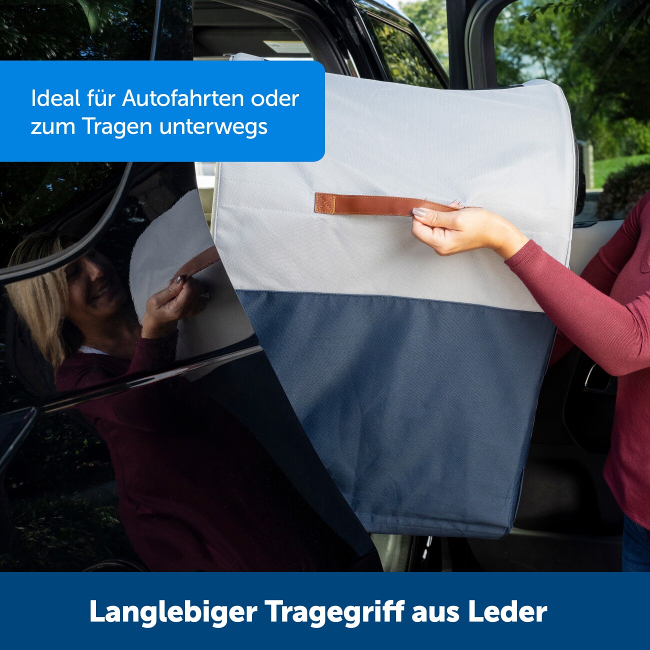 PetSafe Happy Ride Faltbare Hunde-Reisebox