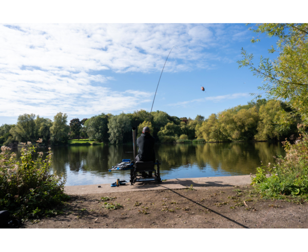 Cage Feeder Preston Carp Maggot Feeder Medium