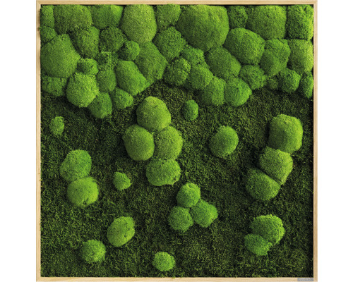 Forest & Ball Moss Fotolijst Eikenlook 80x80 cm