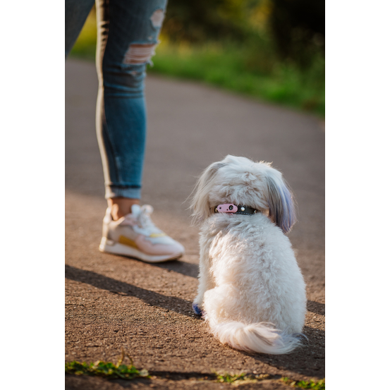 Répulsif rechargeable à ultrasons pour chien Tickless Mini Dog noir