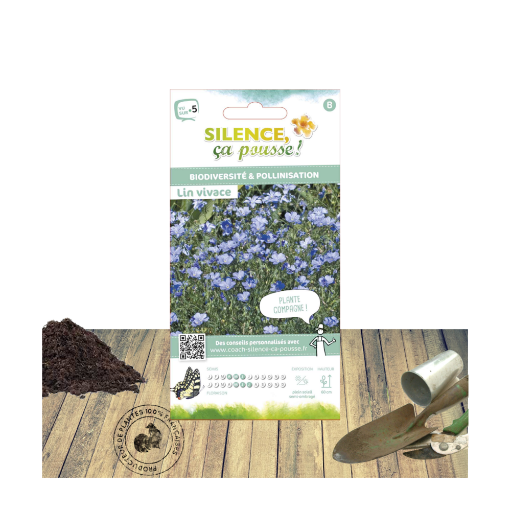 Graines de lin vivace/linum perenne[-]sachet de 1,50 gr.