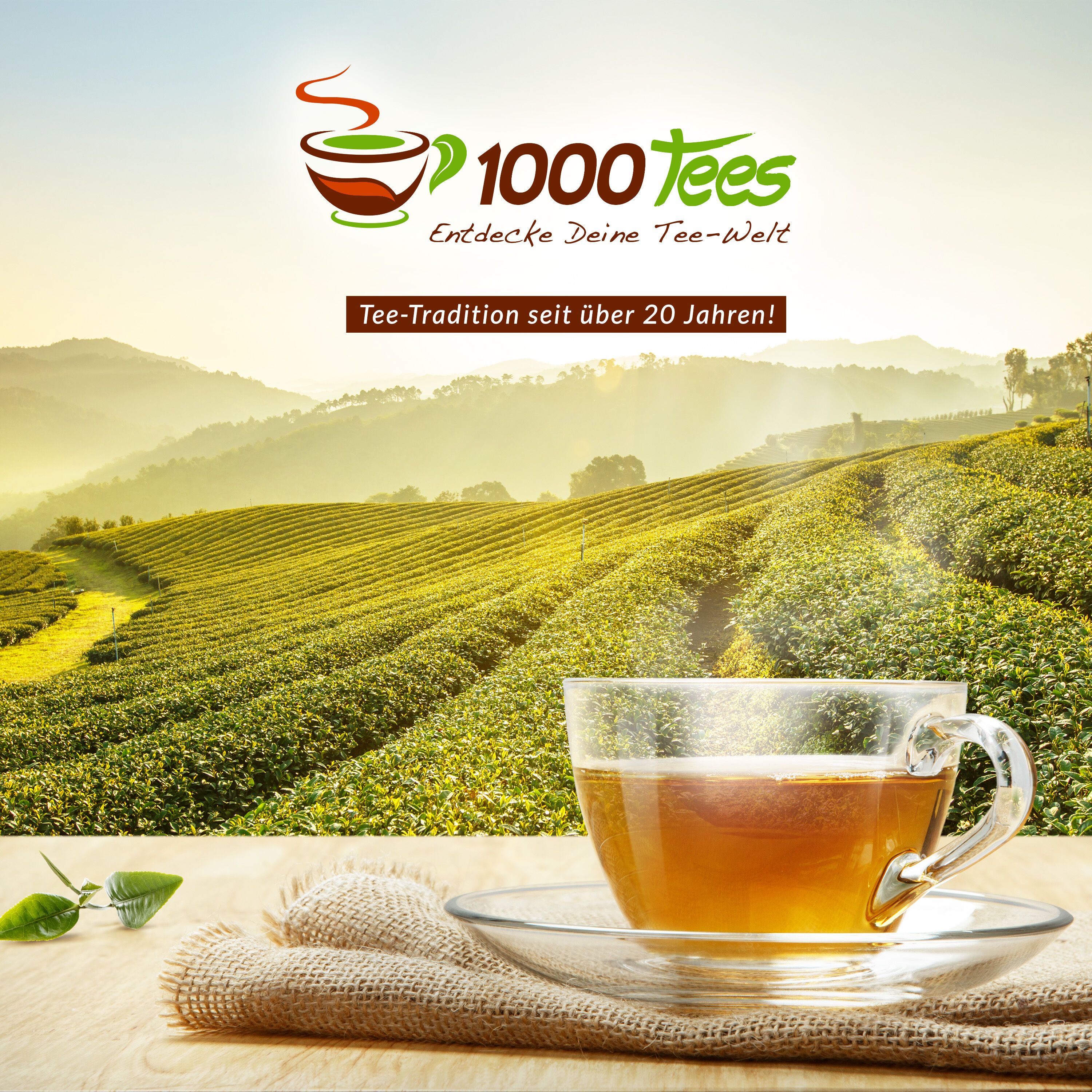 tea4me BIO Kamillenblüten Kräuterwohl