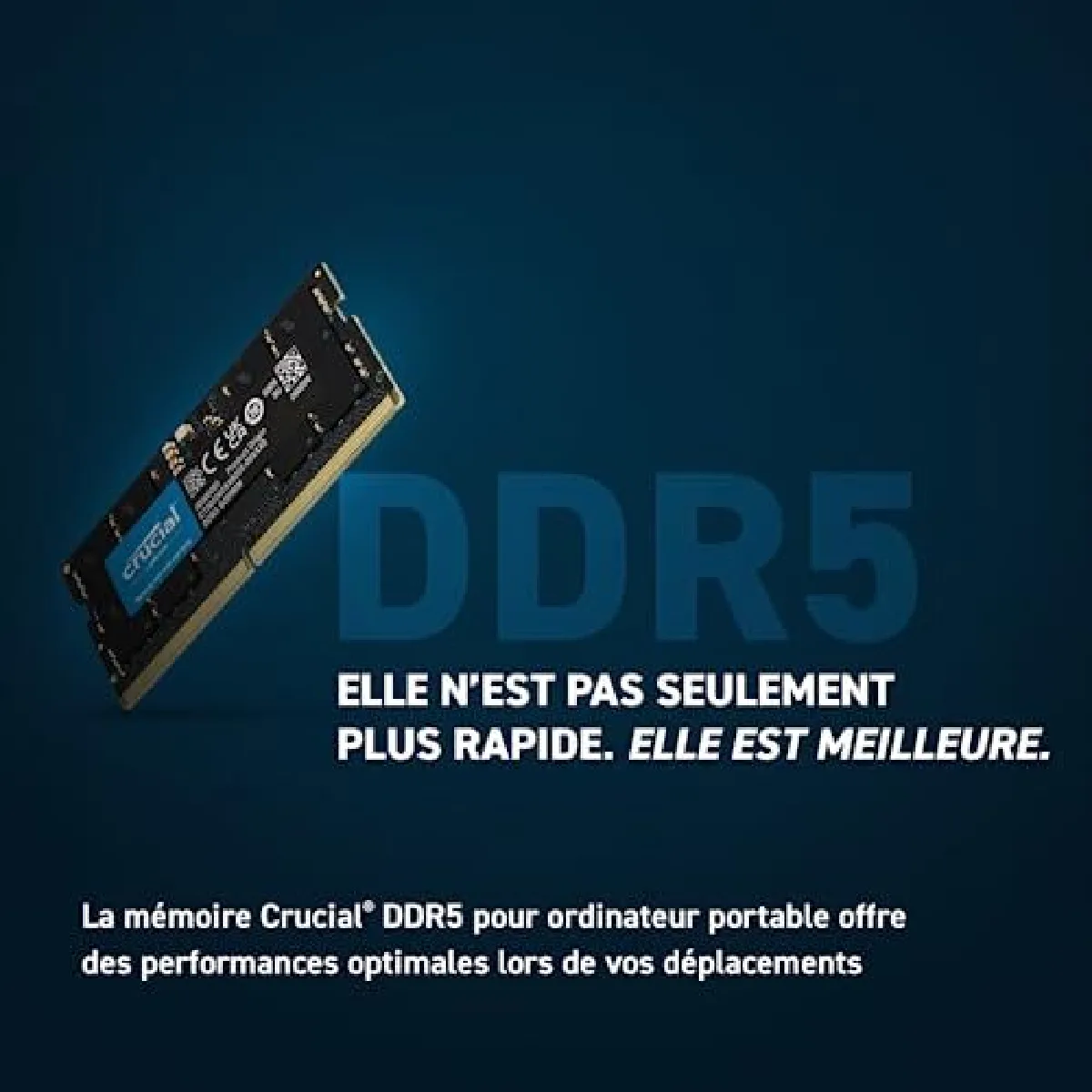 Eurovideo Vg Crucial 96Go DDR5