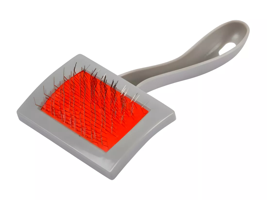 Brosse de Toilettage 