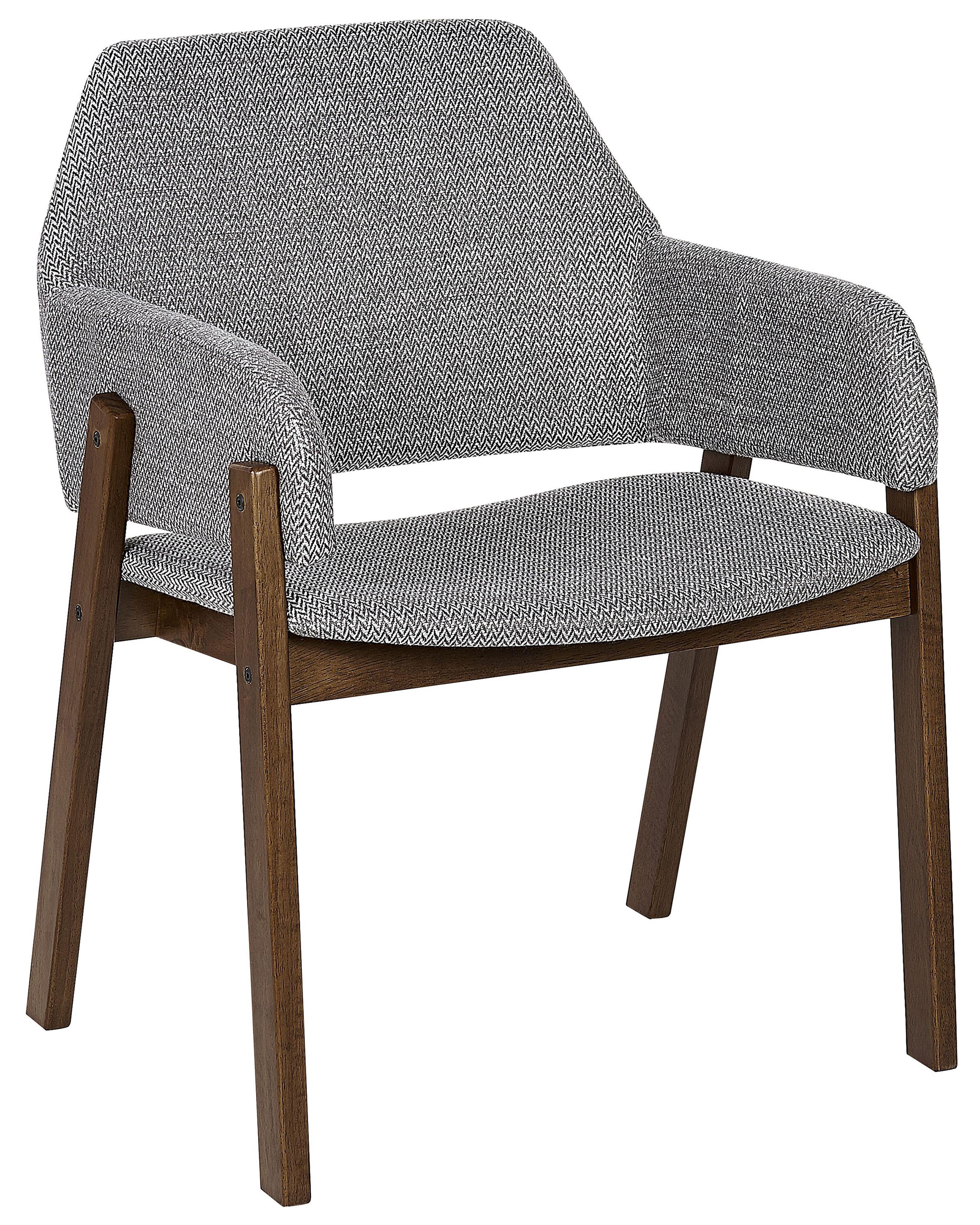 Set van 2 eetkamerstoelen ALBION Grijs