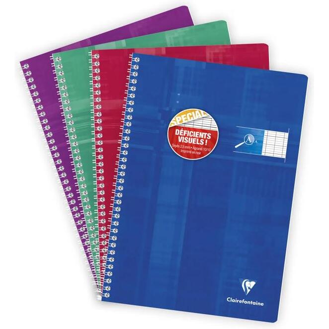 Cahier reliure intégrale déficients visuels A4 100 pages grands carreaux noirs 2,5mm agrandis 10x10 Couleur aléatoire - Assortis