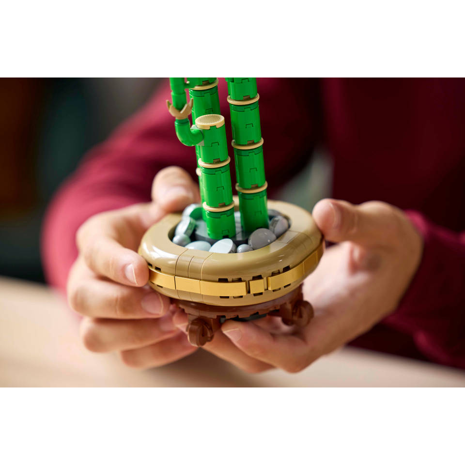 LEGO Botanicals bamboe 10344