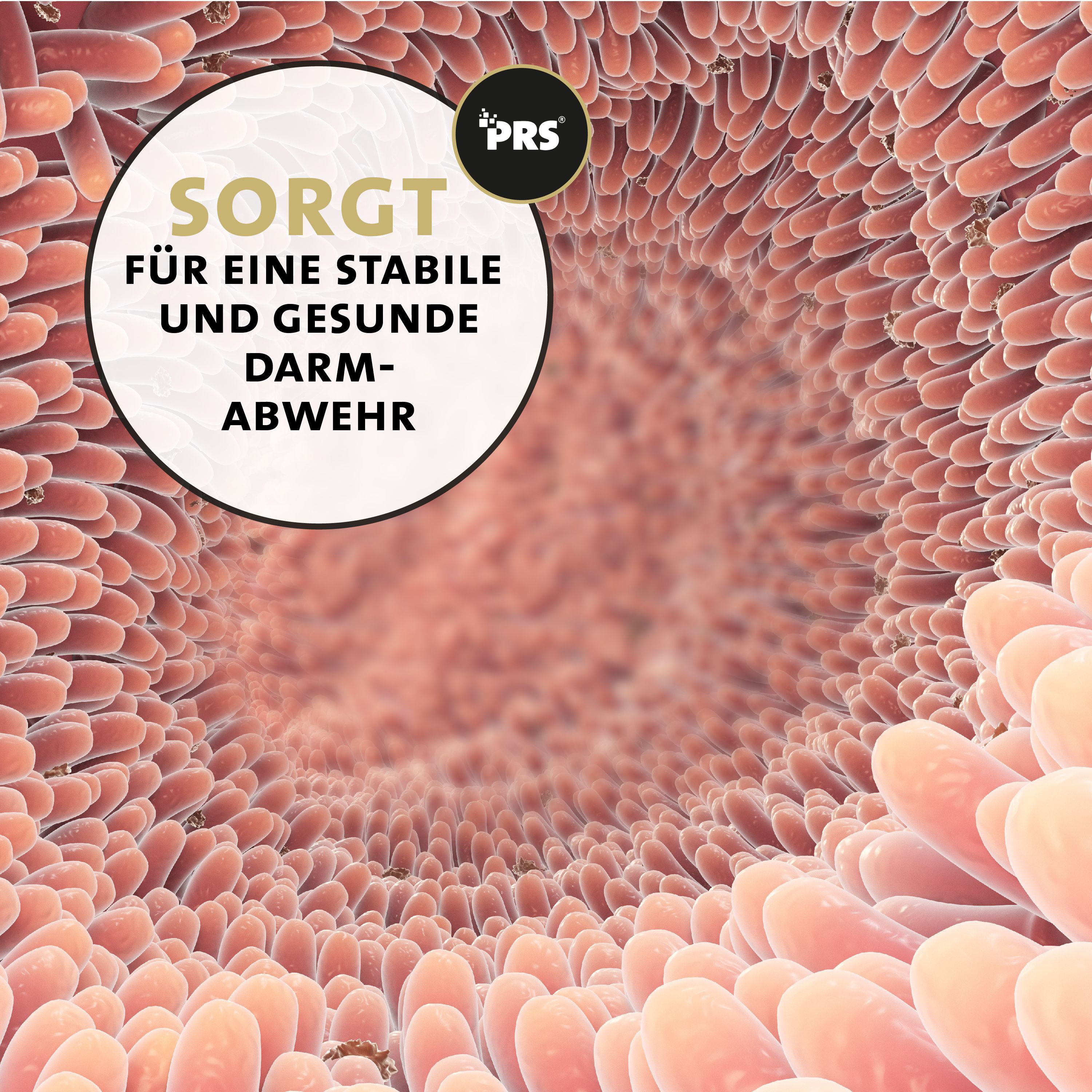Peticare Wurm-Mix Pulver für Katzen, Natürliche Alternative