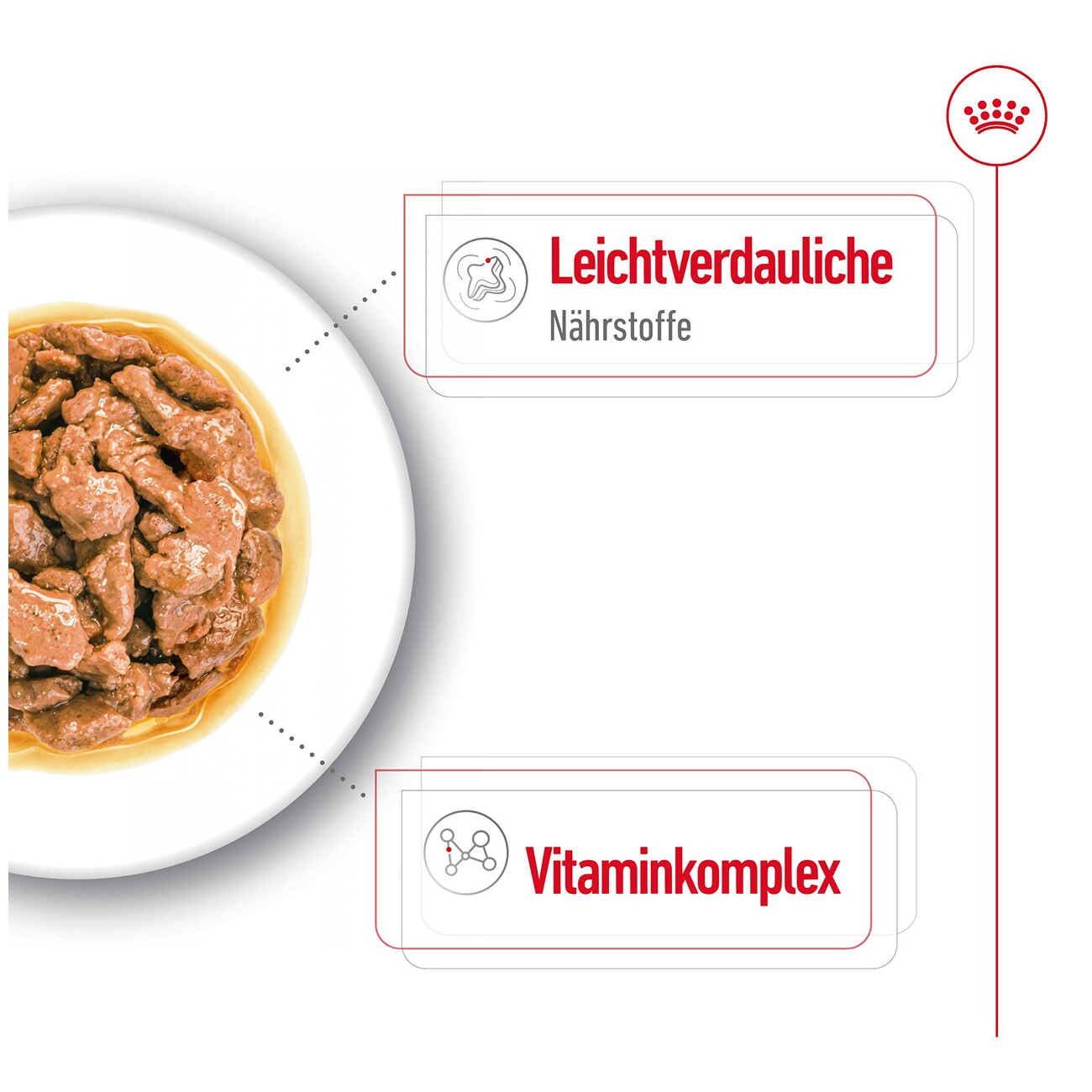 ROYAL CANIN Mini Adult in Soße 12x85 g