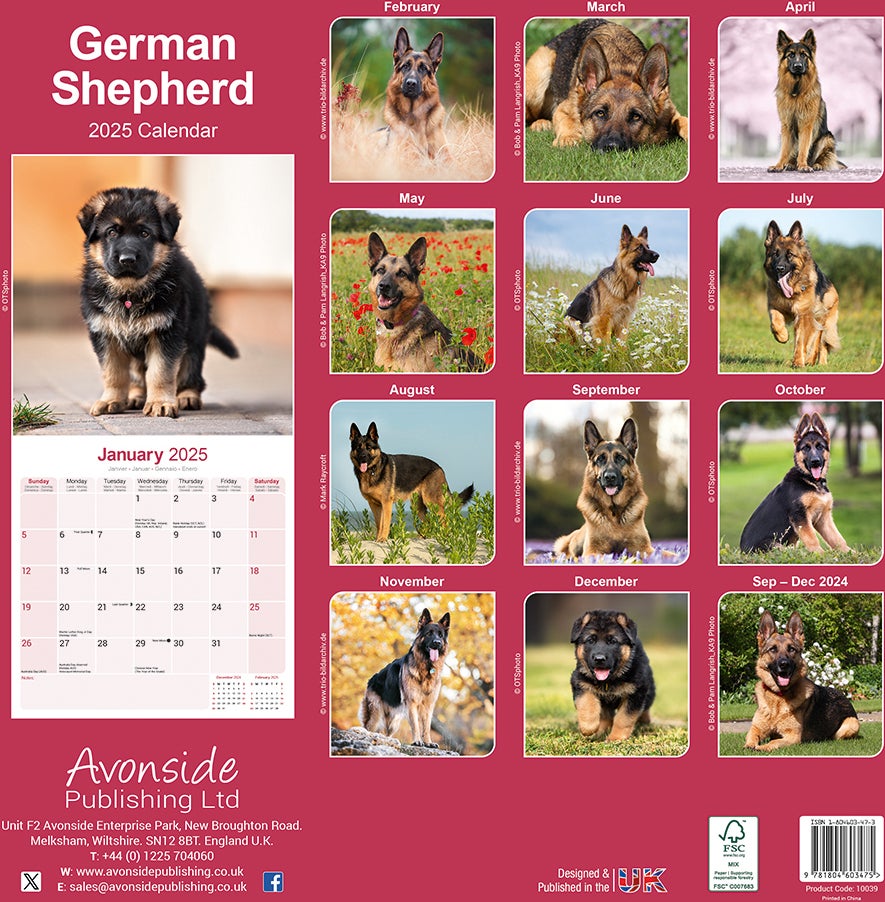 Plenty Gifts kalender duitse herder 30 x 30 x 0,5 cm