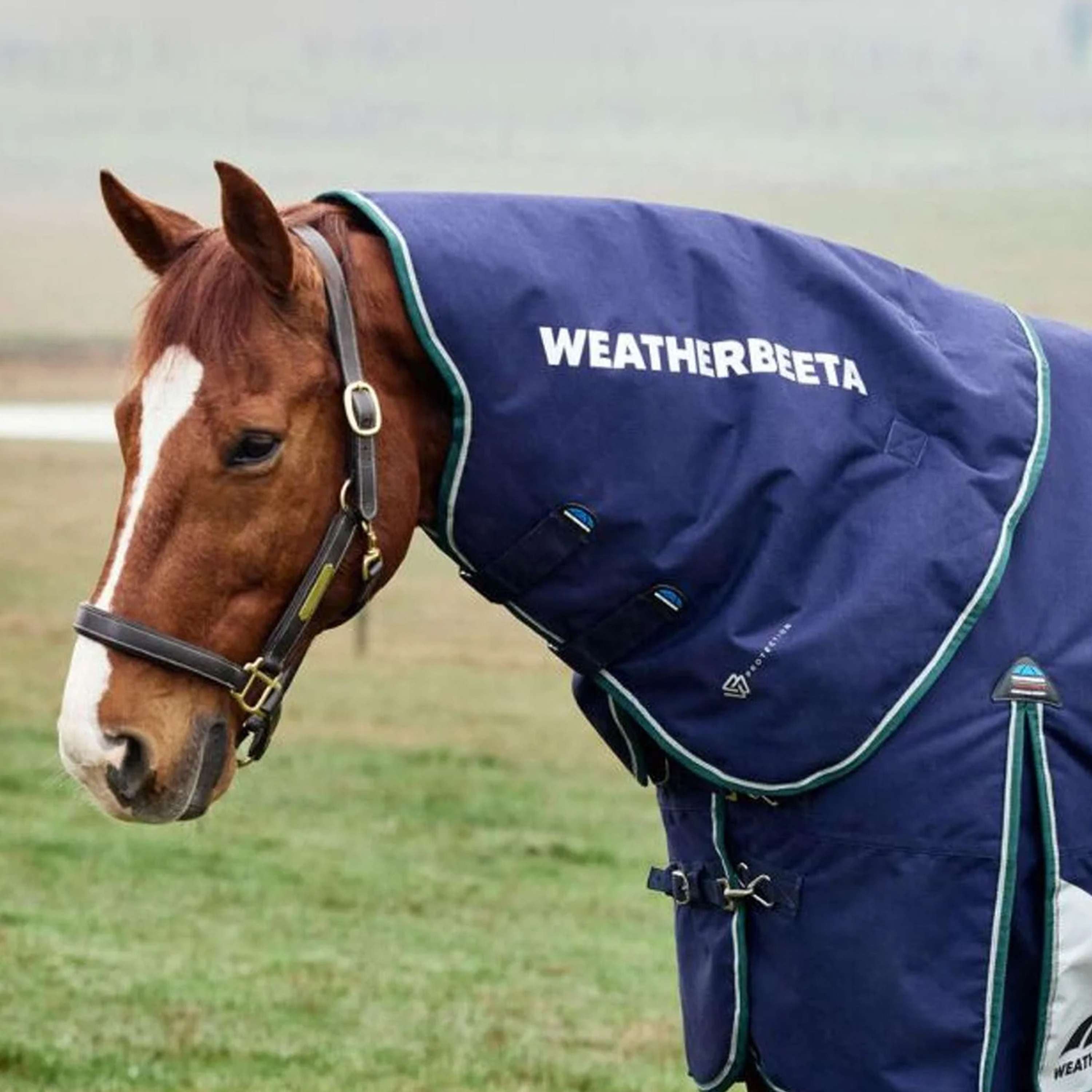 WeatherBeeta Halsstuk ComFiTec Plus Dynamic Turnout 220g Navy/Forest G