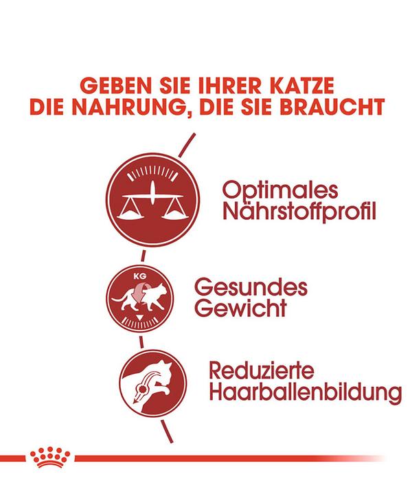 ROYAL CANIN® Trockenfutter für Katzen Fit