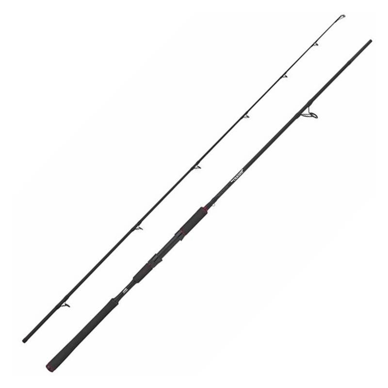Canne Spinning Abu Garcia Beast Spinning Rod