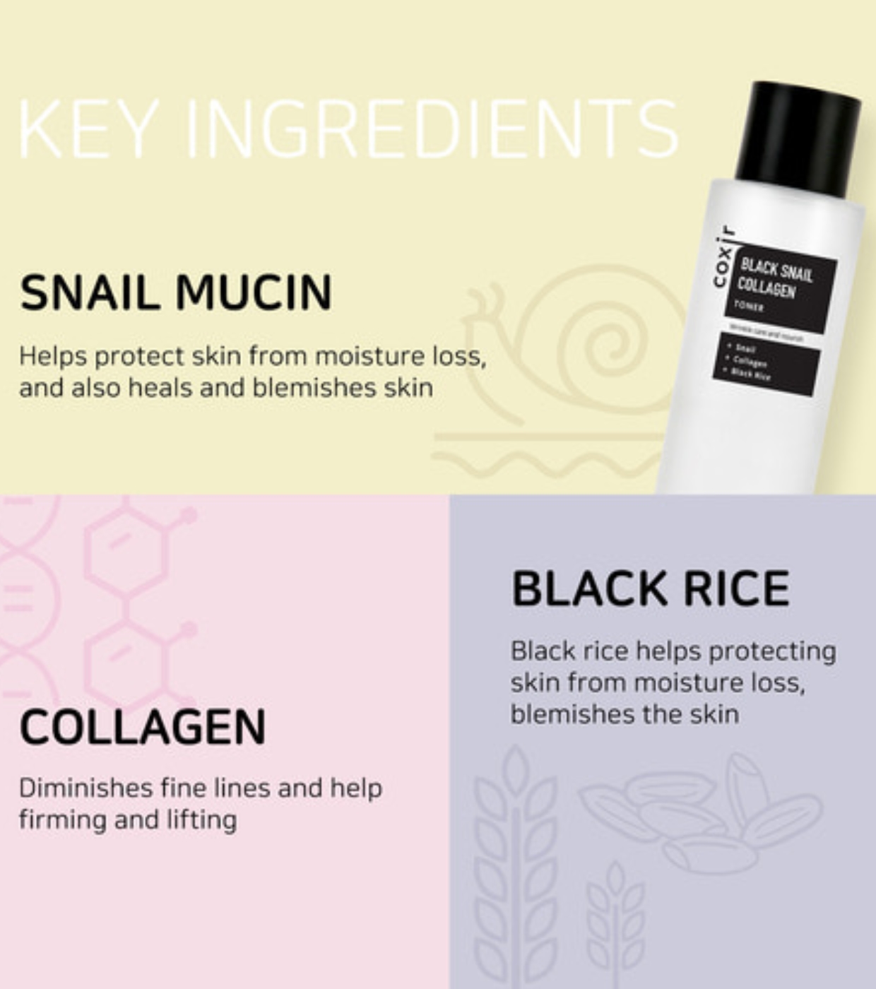 COXIR - Toner Black Snail Collagen
