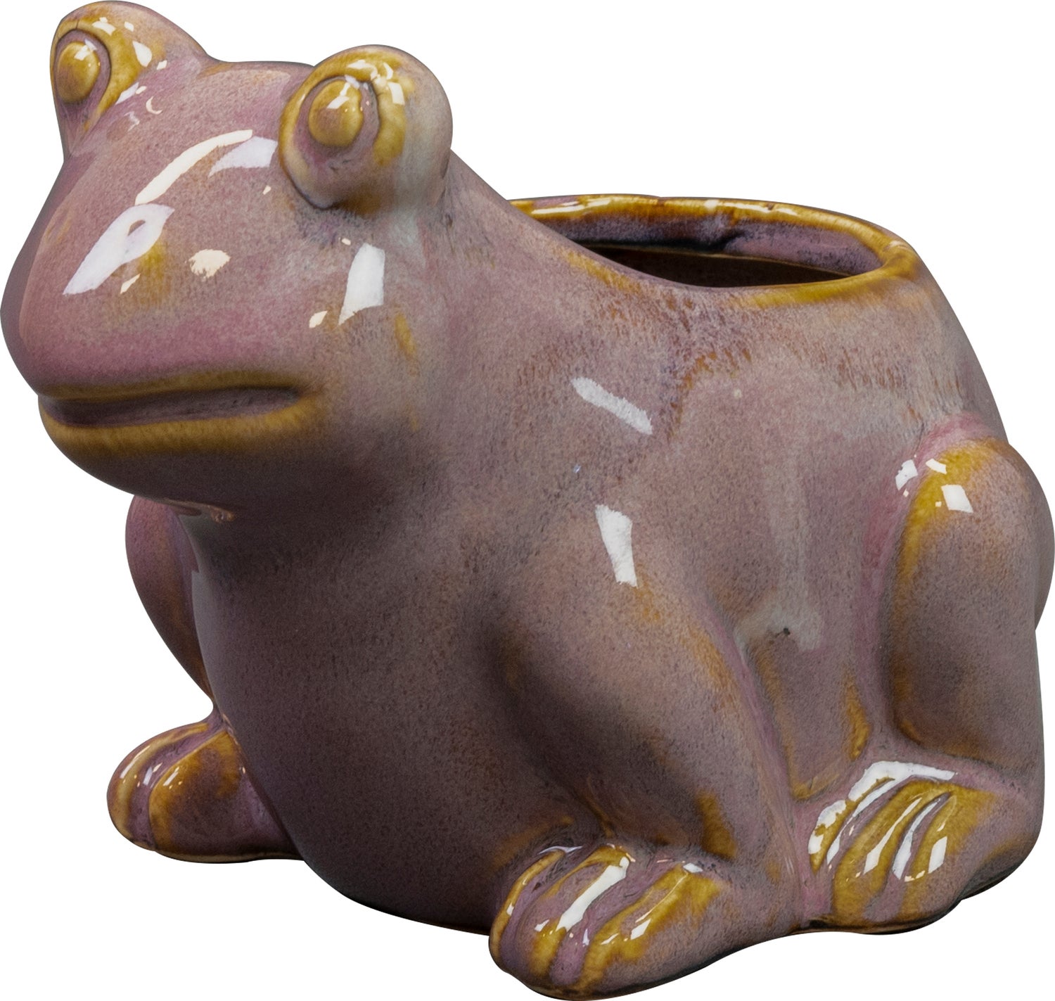 TS bloempot Frog paars D 15 H 11 cm