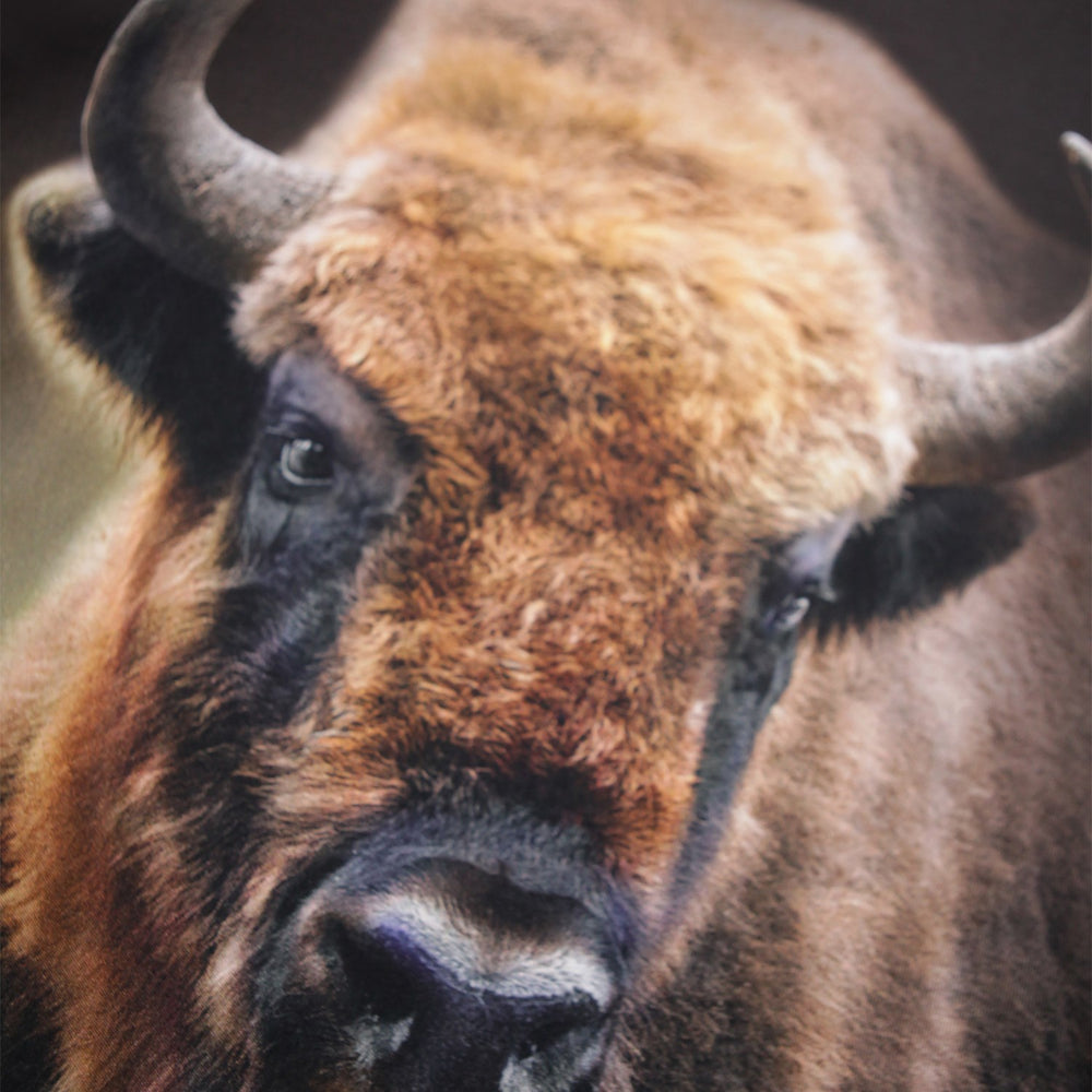 Køb Molo Bison Encounter Reif Bluse