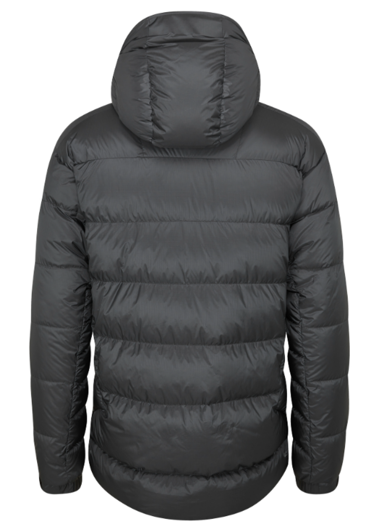 Rab<br>Positron Pro