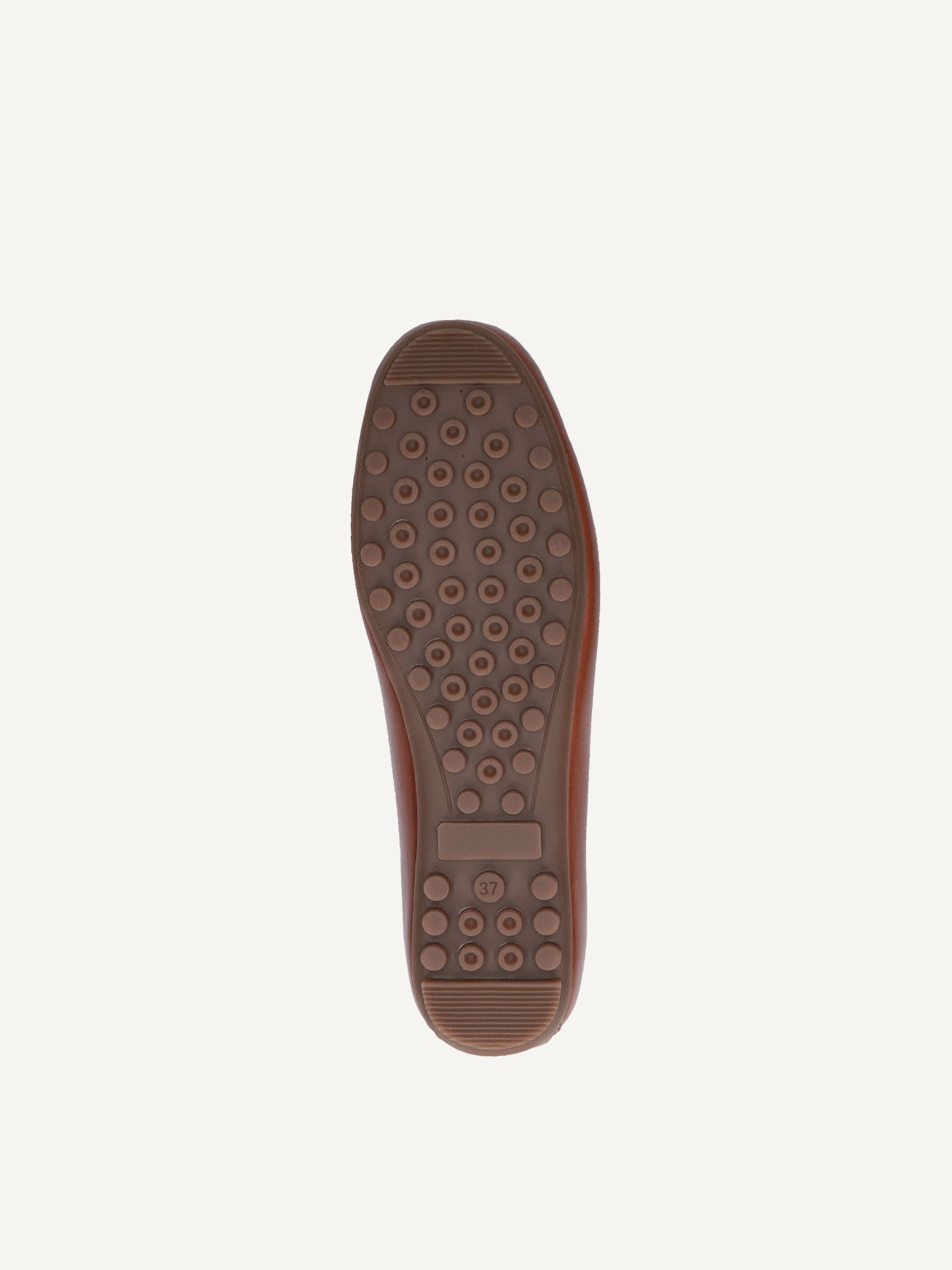 Moccassin