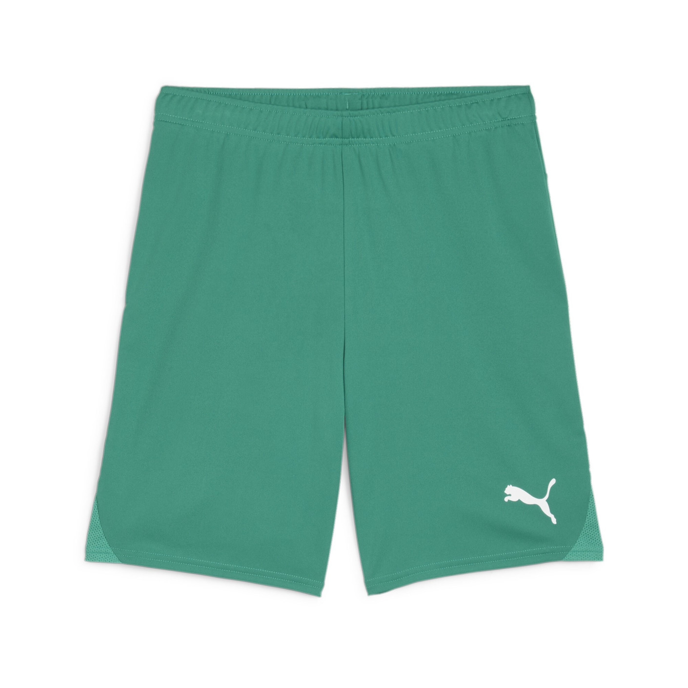 PUMA teamGOAL Matchday Voetbaltenue Groen Wit
