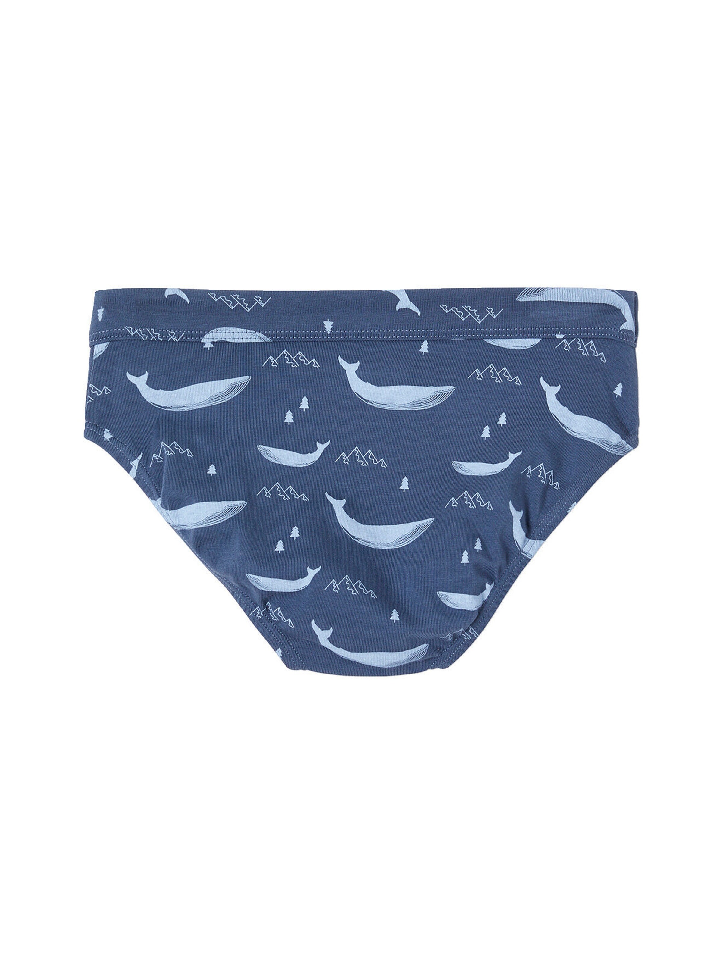 Vertbaudet 7er-Pack Jungen Slips mit Bio-Baumwolle, Wale himmelblau