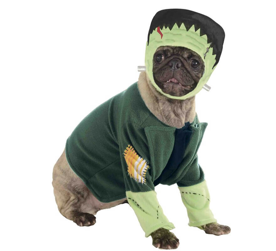 Fantasia de Frankenstein para cachorro