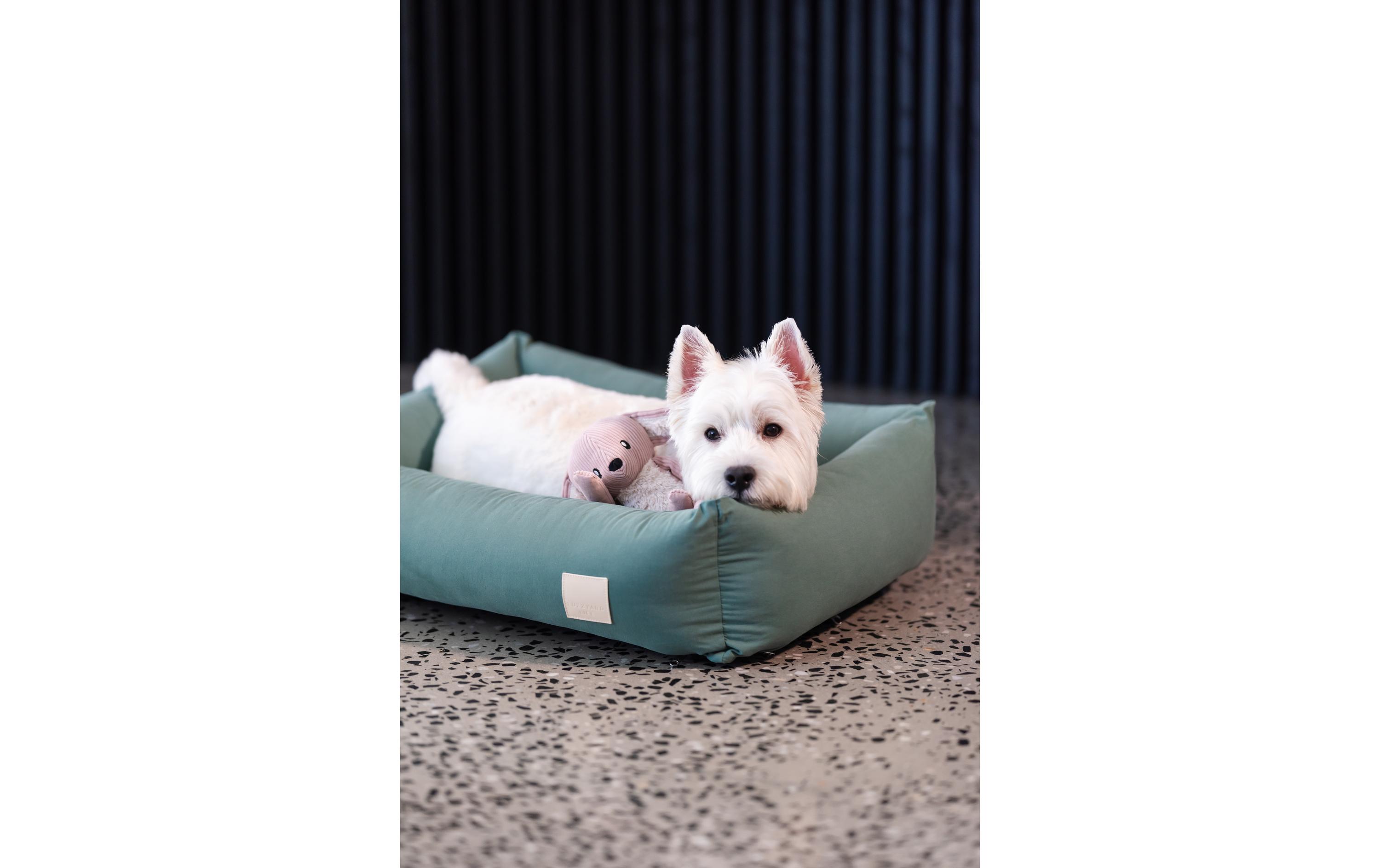 Hunde-Bett Life Cotton 65 x 53 x 20 cm, GrünBaumwollbett für Hunde und Katzen