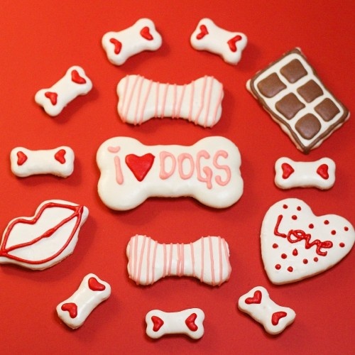 FlooppBITES biscoitos especiais para cães no Dia dos Namorados