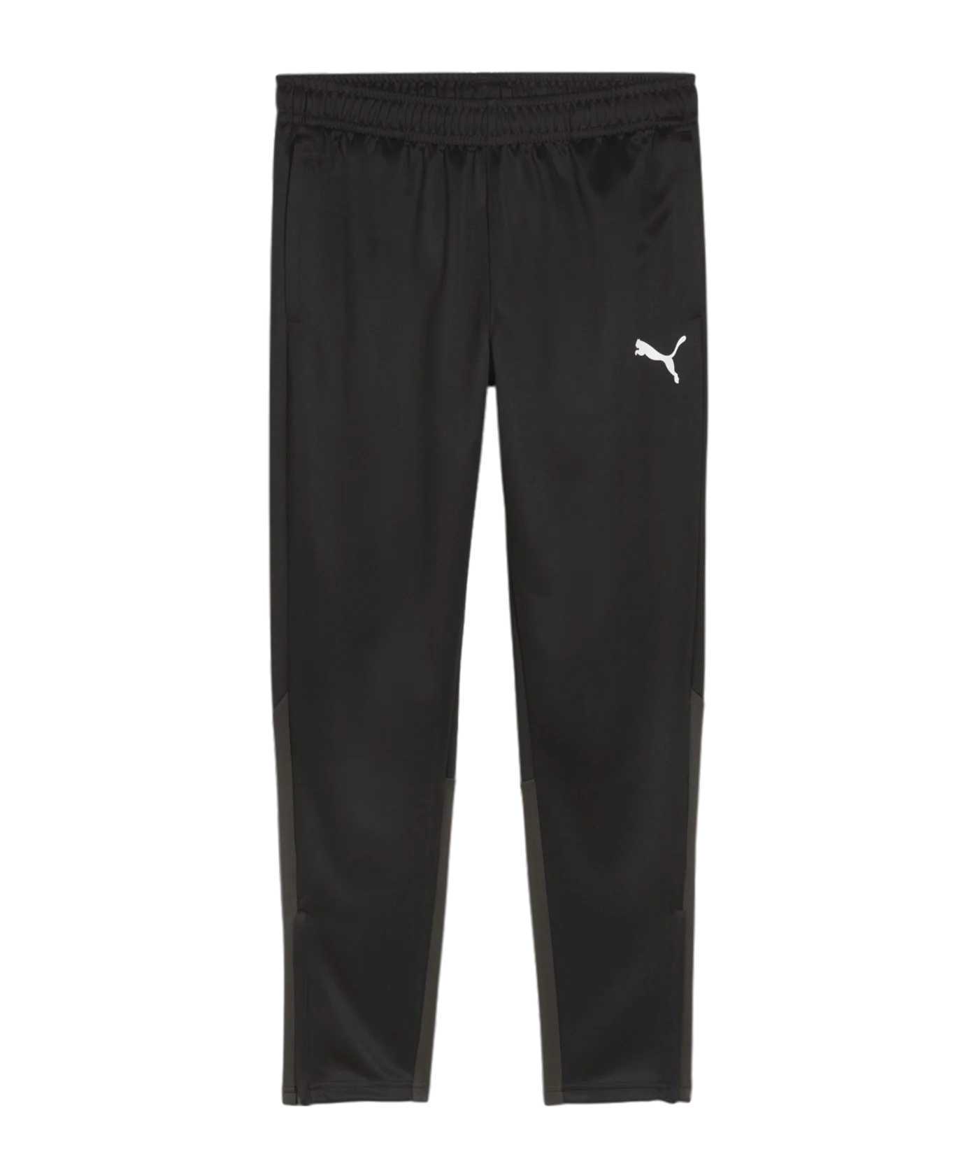 PUMA teamGOAL Training Jogginghose Schwarz F03