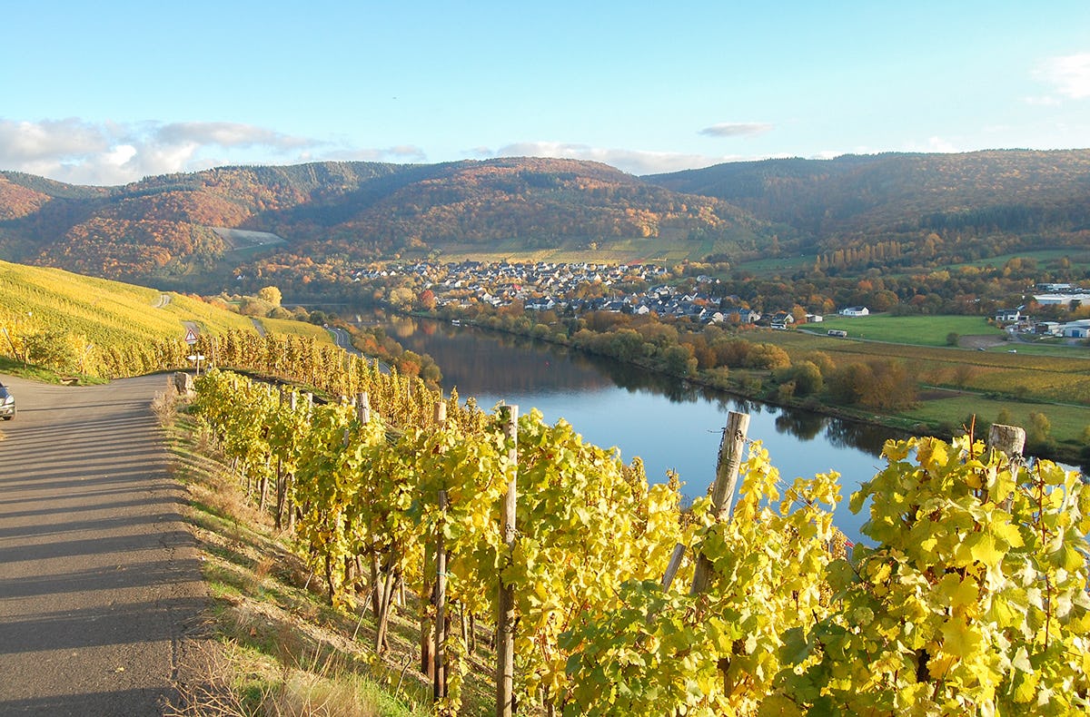 Weinwanderung und Schifffahrt auf der Mosel Cochem