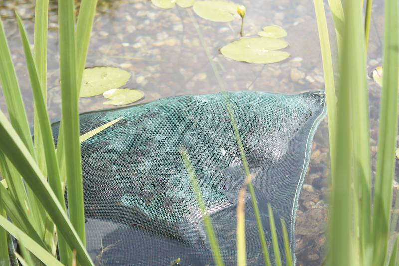 AquaActiv AquaHumin