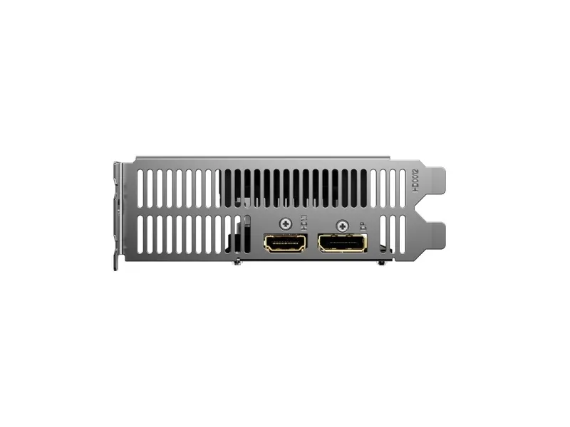 Gigabyte Radeon RX 6400 D6 LOW PROFILE 4G - grafikkort - Radeon RX 6400 - 4 GB GDDR6 - PCIe 4.0 lavprofil - HDMI, DisplayPort