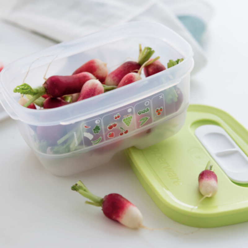KlimaOasen-Set (5) Grundausstattung zum Frischhalten von Gemüse, Obst und Kräuter