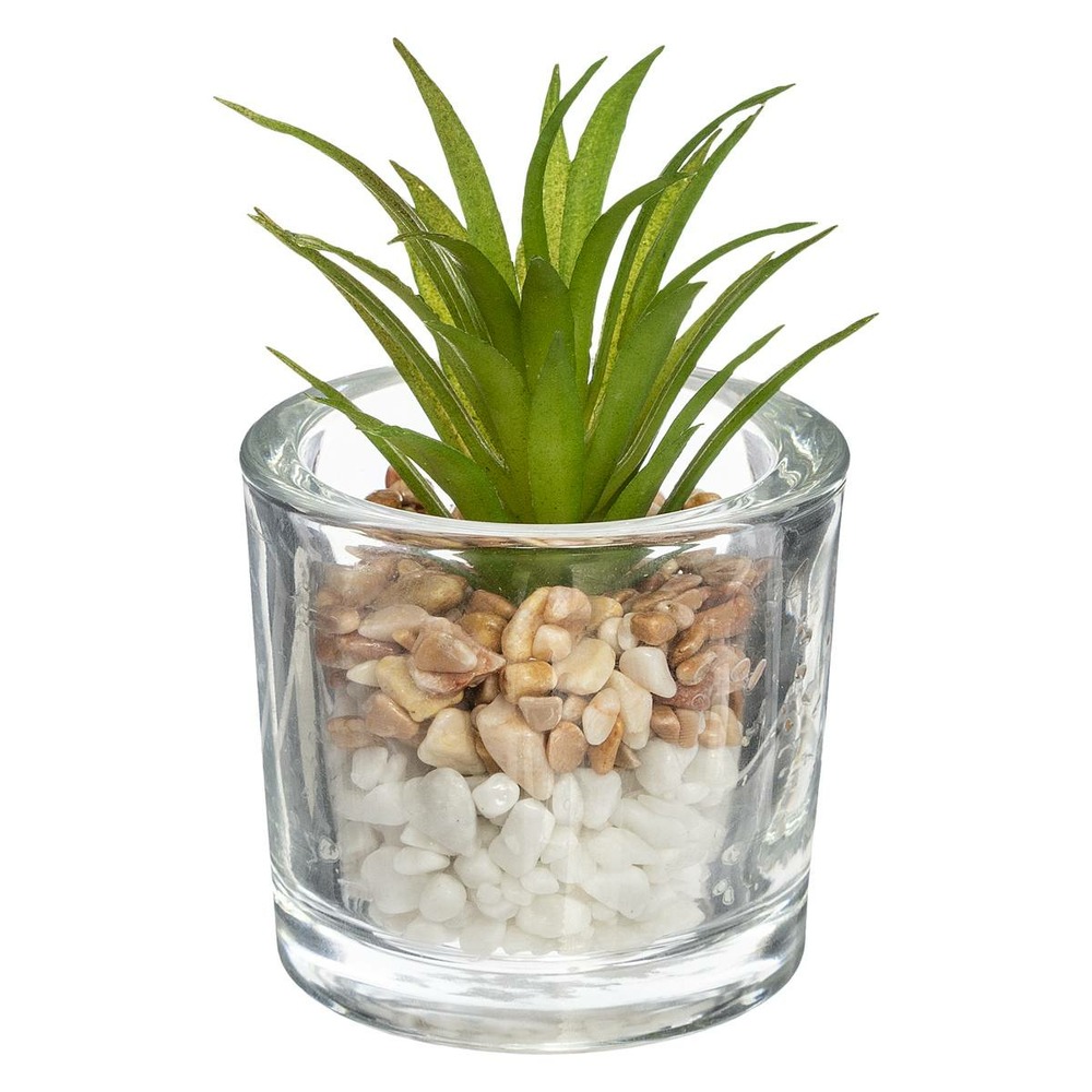 Plante grasse artificielle pot en verre d 6,5 x h 10 cm