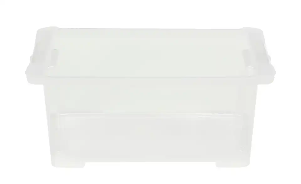 Rotho Aufbewahrungsbox 15,8 cm