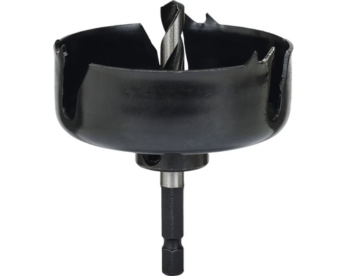 Gatenzaag Bosch DIY Carbon 1/4