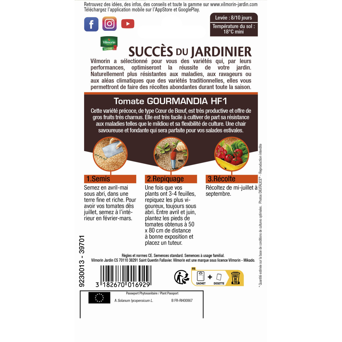 Sachet de graines tomate gourmandia hf1- saveur et résistance au jardin