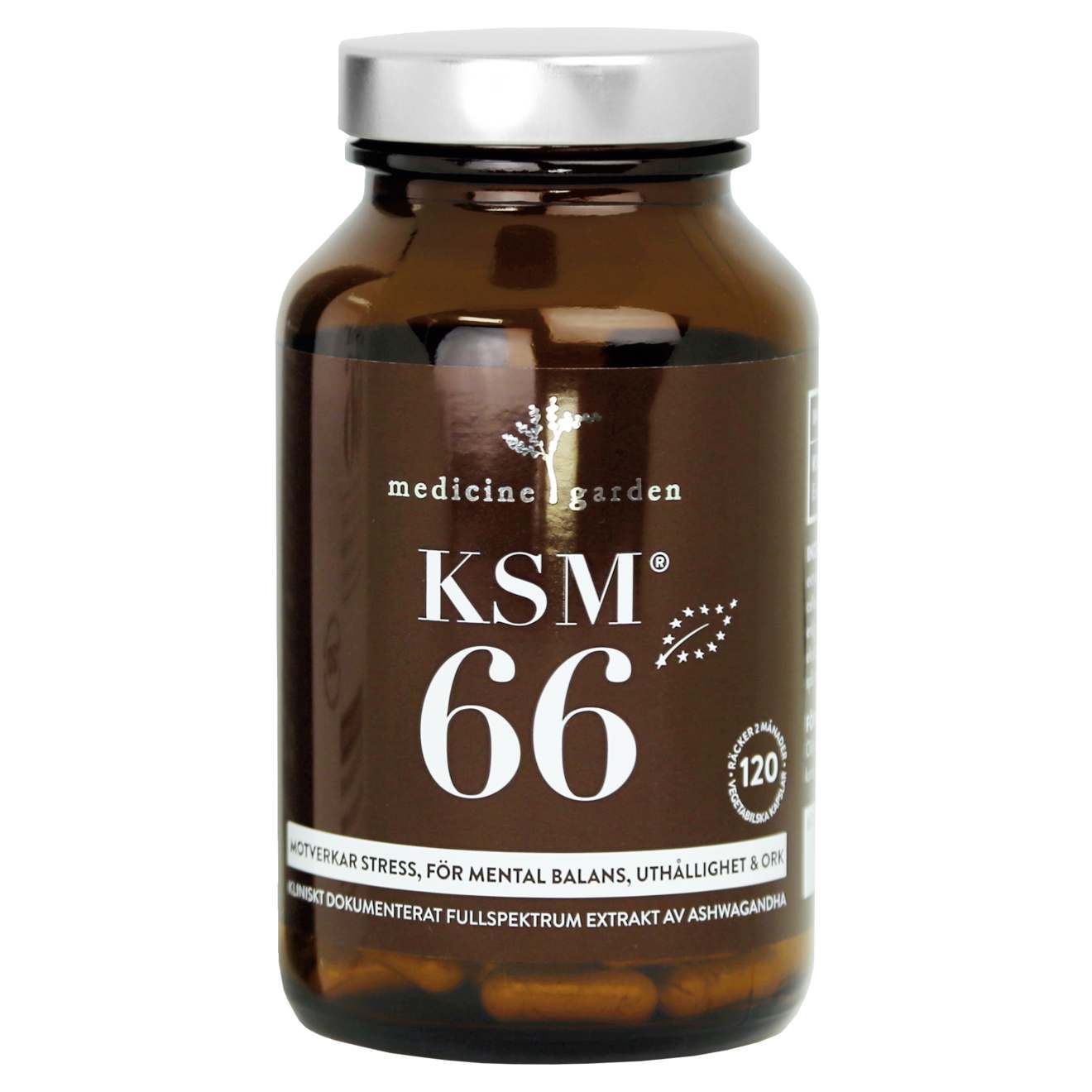 KSM66 Ashwagandha