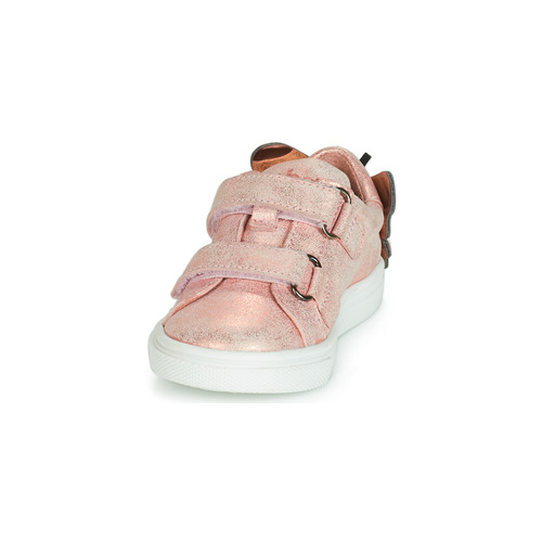 Acebo's - BAMBU - Rose