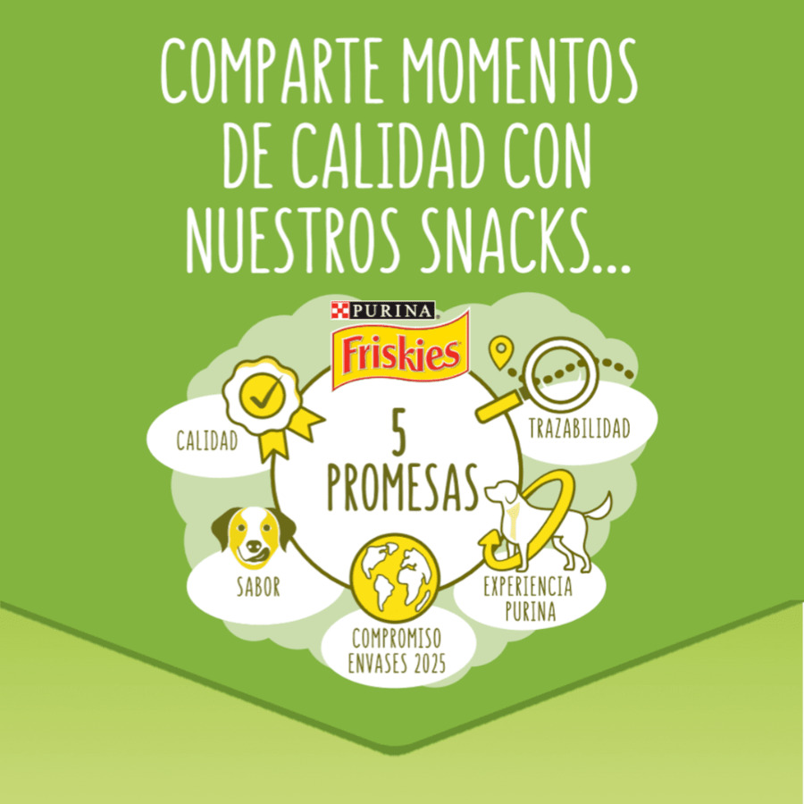 Conjunto variado de palitos de piquenique Friskies para cães