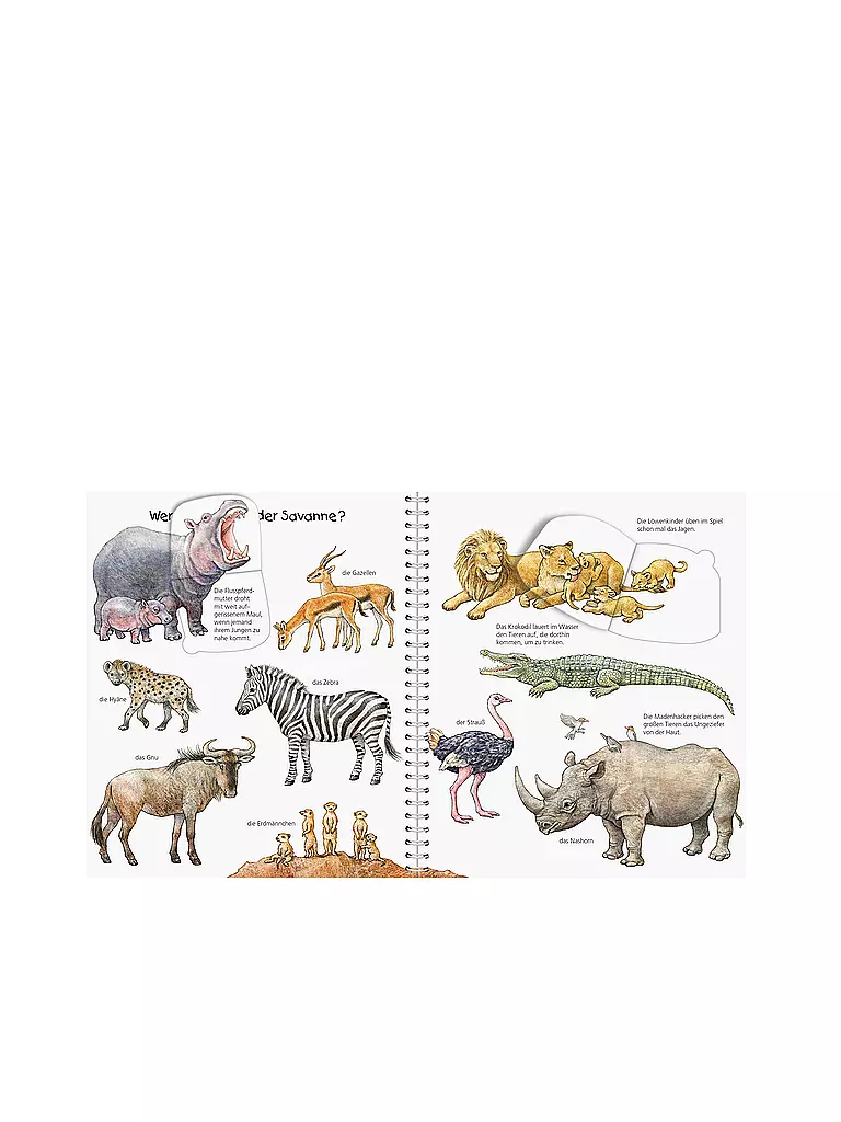 RAVENSBURGER Buch - Wieso Weshalb Warum Junior - Mein Junior-Lexikon Tiere  keine Farbe