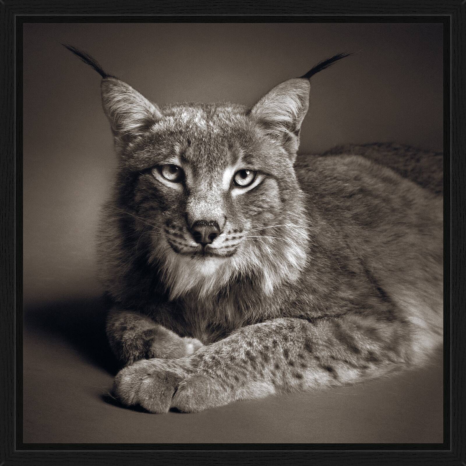 Odin by Alexander Von Reiswitz - Limited Edition. Edition of: 100. Signed.